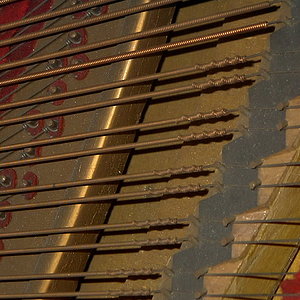 IMAG0020.JPG