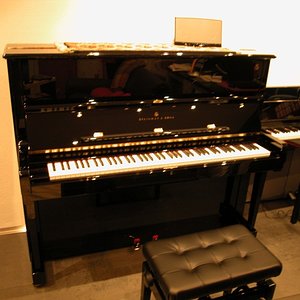 Steinway 8.jpg