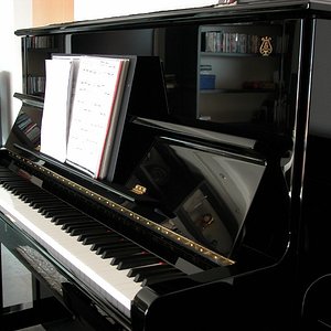 DSCN0489.001.jpg