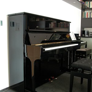 DSCN0501.001.jpg