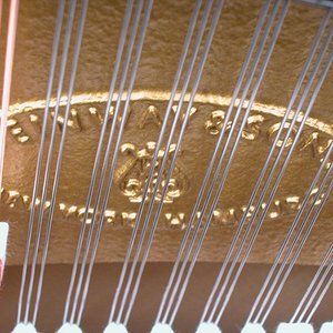 DSCN0519.002.jpg