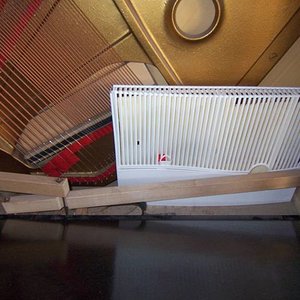 2009-02-19_1136_b.JPG