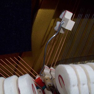 Flageolett-Dämpfer.jpg