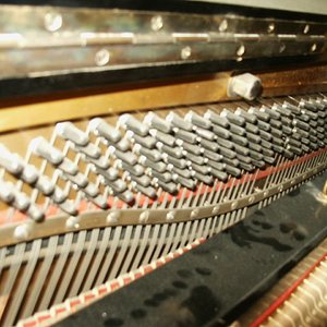 PICT2642.JPG