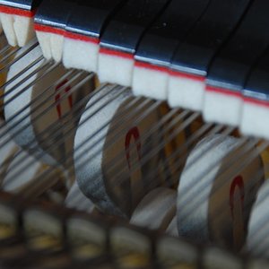 bild2.jpg