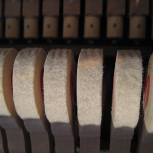 IMG_1124_klein.jpg