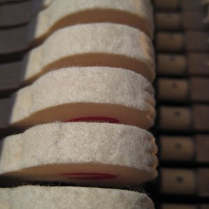 IMG_1127_klein.jpg