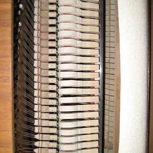 IMG_1128_klein.jpg