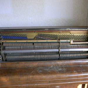 RIMG0353_small.jpg