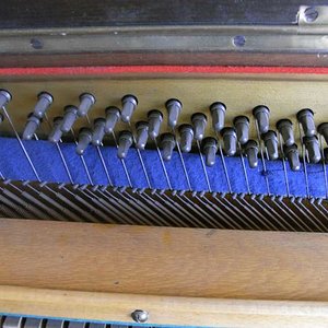 RIMG0355_small.jpg