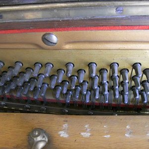 RIMG0357_small.jpg