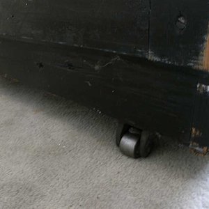 RIMG0383_small.jpg