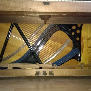 WP_20181121_006.jpg