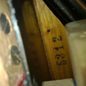 WP_20181121_003.jpg