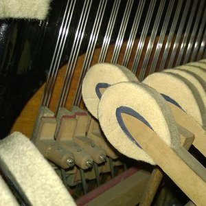 WP_20181123_001.jpg
