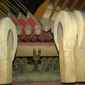 WP_20181123_004.jpg