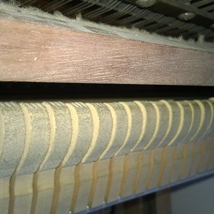 WP_20181124_003.jpg