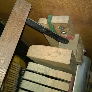WP_20181124_005.jpg