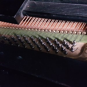 20181211_120055.jpg