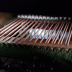 20181211_120953.jpg