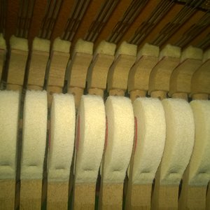 WP_20181110_14_25_51_Pro.jpg