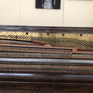 IMG_1080.jpeg