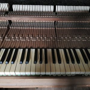 20190317_123317.jpg