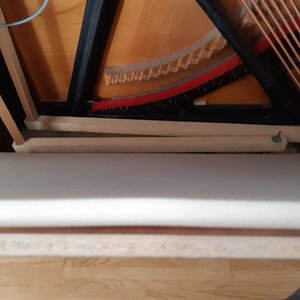 20190324_120546.jpg