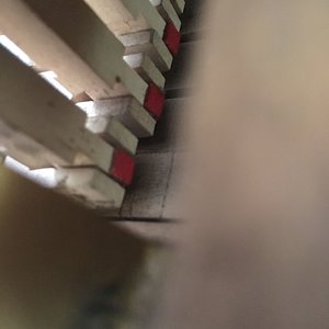 IMG_8786.jpg