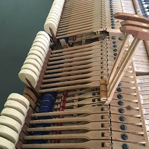 IMG_8778.jpg