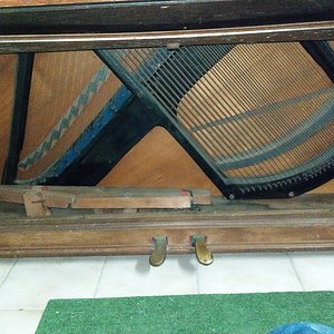 IMAG0699.jpg
