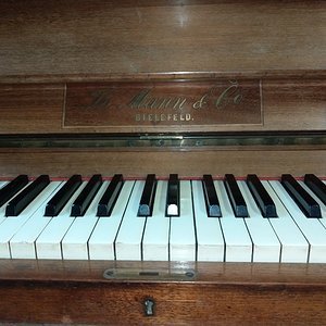 IMAG0706.jpg