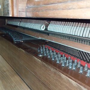 IMAG0707.jpg