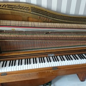 k5.JPG