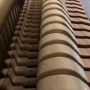 79F7EE7D-BFA7-4B11-85DA-30BF7479628F.jpg