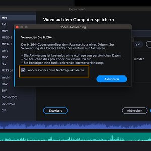 codec-aktivierung.jpg