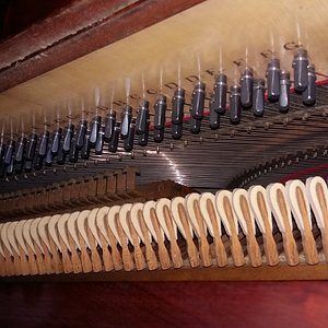 20191109_123335[1].jpg
