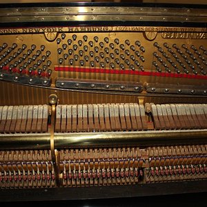 1574007662215.jpg
