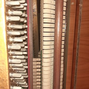 TJFU2536.JPG