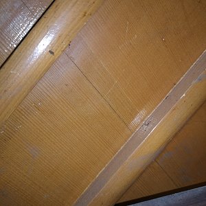 IMG_20200119_181709.jpg