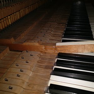 IMG_20200126_210701.jpg