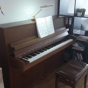 Fazer_Pianino.jpg