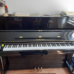 yamaha_U1.jpg