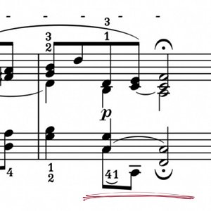 henle.jpg