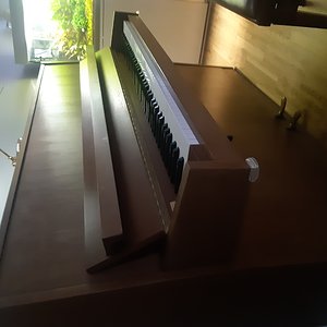 20200927_183357.jpg