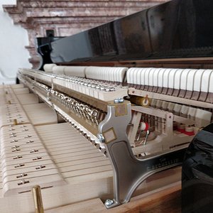 Bechstein-Action.jpg