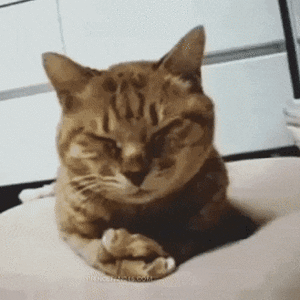 ATSM0230.GIF