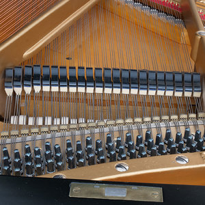 P1033738.jpg