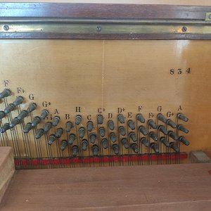 IMG_20220617_130059.jpg