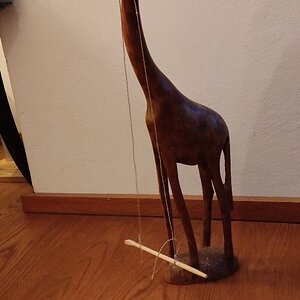 Image381026776225484100.jpg